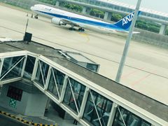 -全日本空输株式会社(上海办事处)