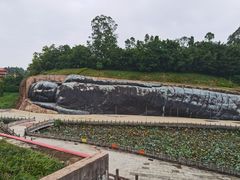 -三水森林公园
