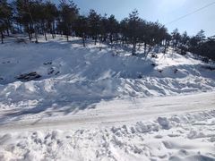 -四明山国家森林公园