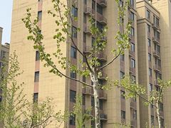 -枫千叶精致料理