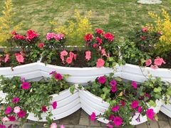 -奥特莱斯停车场