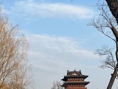 -祥源·阜阳生态乐园