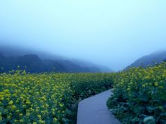 android_upload_pic-广州市石门国家森林公园