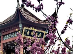 -九华山风景区-东崖禅寺