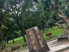 -海口火山口国家地质公园
