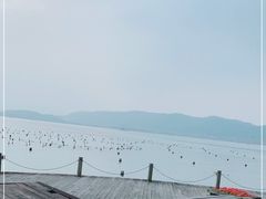 -西湖游船