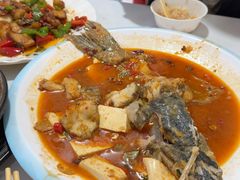 -煲来饱去冷水鱼