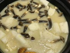 -探窝·竹笙椰子鸡(杨箕店)