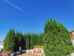 -Blue Concept Cafe&Farm·關於藍