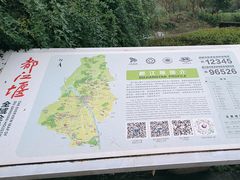 -都江堰中华大熊猫苑