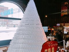 -小樽运河广场(運河プラザ)