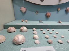 -上海中国航海博物馆