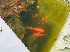 -宝光寺