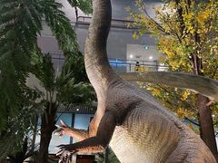 -湖南省地质博物馆