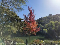 -香山公园