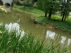 -森波拉奇妙世界