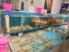 -港畔赶海蒸汽海鲜烧烤自助(仙螺岛店)