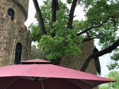 -J Create城市露营咖啡·简餐·宠物(上海动物园店)