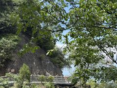 -少华山国家森林公园