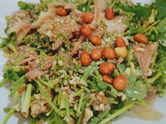 -东鸽皇(奥园·中环广场店)