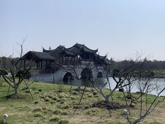 -上海海湾国家森林公园