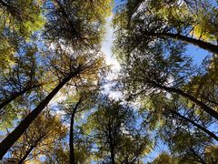 -硗碛藏寨·神木垒景区