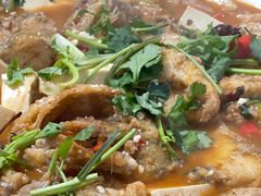 -煲来饱去冷水鱼