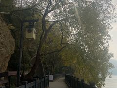 -白帝城·瞿塘峡景区