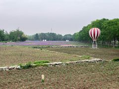 -江苏三台山国家森林公园