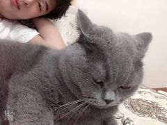 -天时宠物医院24小时疑难病例会诊中心(顾乡大街总院)
