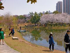 -堤角公园