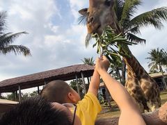 -海南热带野生动植物园