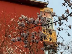 -碑林公园