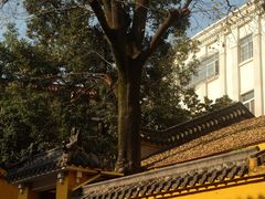 -宝通禅寺