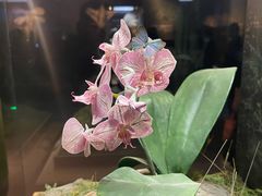 -上海自然博物馆