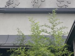 -蘇锦宴·淮扬菜烤鸭·小院(三元桥霄云路店)