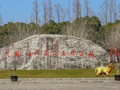 -上海海湾国家森林公园