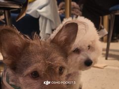 -CHARLIETOWN红茶公司(南京万象天地店)