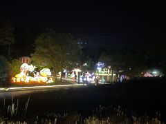 -大塘金香草谷