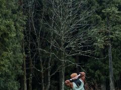 -武陵山森林公园