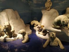 -成都泰迪熊博物馆