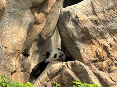 -香港海洋公园