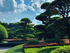 -南宁南湖公园