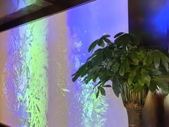 -大桶大足浴(外高桥清溪店)