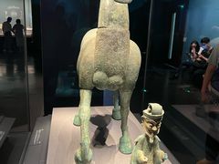 -广西壮族自治区博物馆