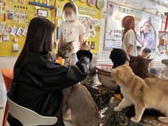-平行世界·猫咖(首经贸店)