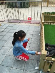 -萌宠亲子动物乐园(槐房万达店)