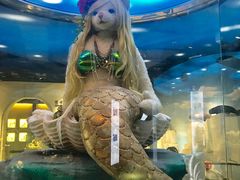 -成都泰迪熊博物馆