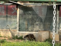-秦皇岛野生动物园