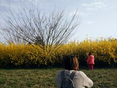 -汉长安城未央宫国家考古遗址公园